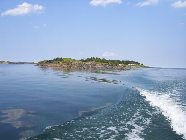 n616220130_3054946_4454.jpg n616220130_3054946_4454.jpg