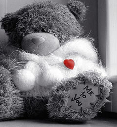 carebear.jpg carebear.jpg