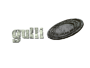 gulli_logo.png