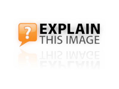 ExplainThisImage_Transparent.png ExplainThisImage_Transparent.png