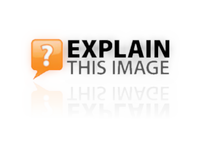 ExplainThisImage_White.png ExplainThisImage_White.png