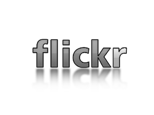 flickr_mono.png