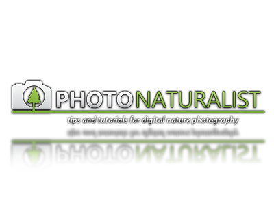 photonaturalist2.png photonaturalist2.png