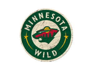 Minnesota Wild 2 copy.png