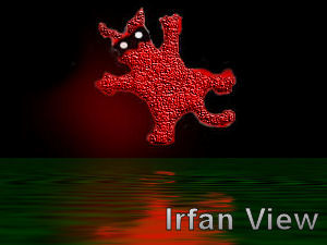 Irfan View.jpg