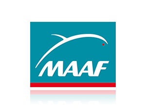 maaf_01.png maaf_01.png