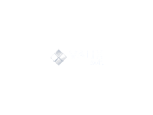 valixsoft.com.png