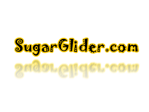 SugarGlider.png