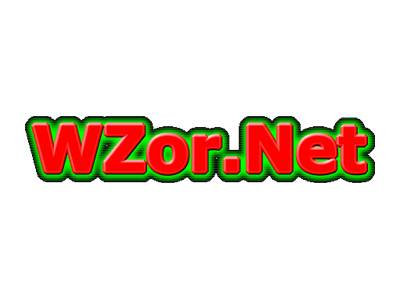 Wzor_Net.png