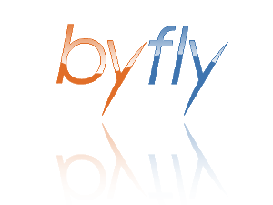 byfly logo(glass2).png