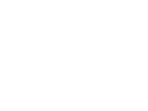 fox1.png