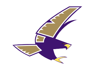 timber_creek_falcons_transp.png