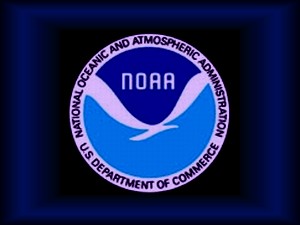 NWS-Logo.jpg NWS-Logo.jpg