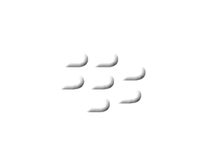 blackberry_logo_white_bevel_u.png