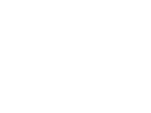 vaio2.png