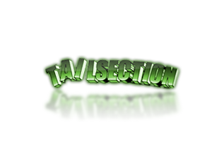 tail section.png tail section.png