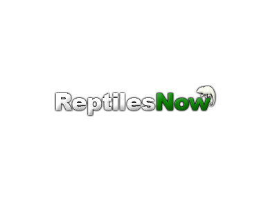 reptiles.png