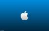 Apple 29.jpg