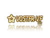 vostfr.png