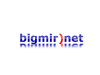 bigmir)net (Black).png