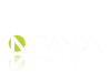 oanda.png