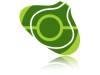 Bulbapedia_logo_reflection.png