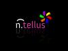 ntellus_color_reflection.jpg