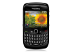 blackberry_01.png