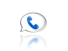 Google Voice.png