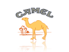 camelbg.png