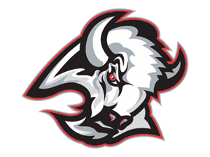 Buffalo Sabres old 2.png