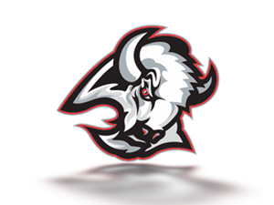 Buffalo Sabres old 3.png