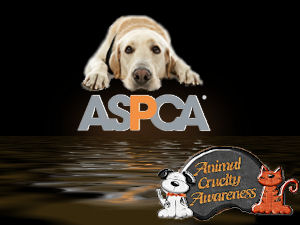 ASPCA.jpg