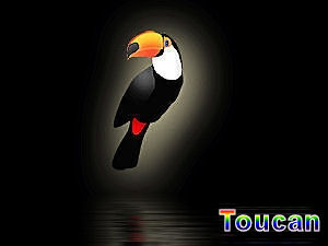 Toucan.jpg