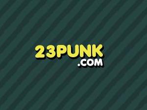 23punk_logo.jpeg