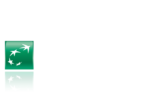 bnp_parisbas_03.png
