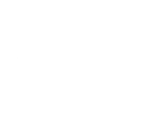 PandoraIR.png