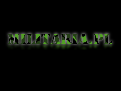 militaria b.png