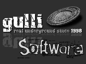 gulli-software.jpg