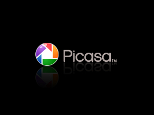 picasa.com,picasaweb.google.com,picasa.google.com | UserLogos.org