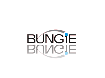 bungie.png
