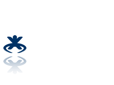 cyberwiki.png