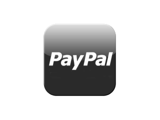 paypal-gray-i-2.png