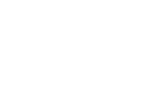 helsingin_sanomat_white.png