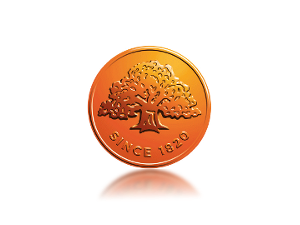 Swedbank__mynt_refl.png