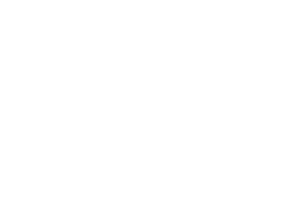 wikipedia.png