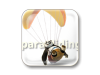 dossier-i-paragliding.png