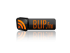 blipfm.png