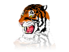 Tiger.png