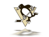 Pittsburgh Penguins 2 copy.png